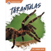 Tarantulas
