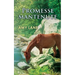 Promesse Mantenute
