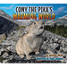 Cony the Pika's Warming World