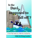 Is the Davit Supposed to Fall Off?: A First Time Sailor in a Wild New Zealand Sea