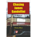 Chasing James Gandolfini: A Memoir