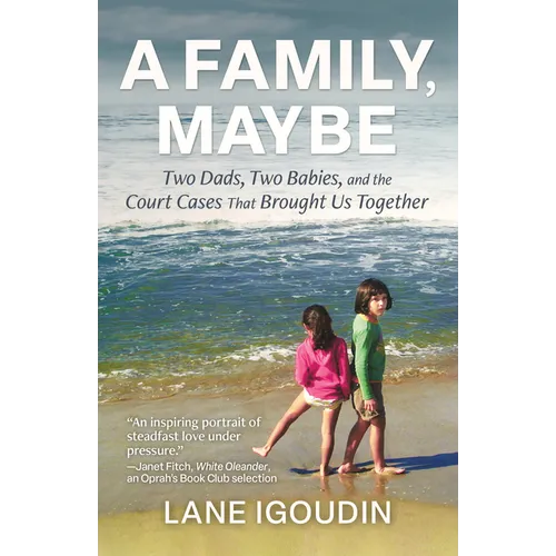 A Family, Maybe: Two Dads, Two Babies, and the Court Cases That Brought Us Together