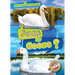 Swan or Goose?