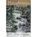 Metaphorosis November 2022