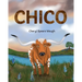 Chico