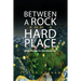 Between a Rock and a Hard Place: Public Theology in a Post-Secular Age