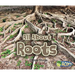 All about Roots