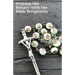 Praying the Rosary with the Bible Scriptures: with Contemplation Guidance for Each Mystery