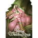 Tales of Wedding Rings, Vol. 7
