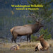 Washington State Animals and Mammals Kids Wildlife Book: Great Washington State Animals book with Lifelike Images and Fun Facts