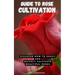 Guide to Rose Cultivation: Discover how to easily and quickly grow beautiful roses