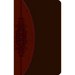 Wesley Study Bible-Ceb