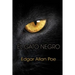 El gato negro