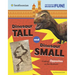Dinosaur Tall and Dinosaur Small: Finding Opposites at the Museum