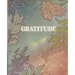 Gratitude: 90 Guided Days of Gratitude Journal with Prompts and Coloring Pages for Women, Girls, Young Adults. Release Anxiety, T