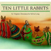 Ten Little Rabbits Board Book