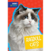 Ragdoll Cats