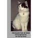 The Black Tail of Chan: A Very Special Cat: (As told by Chan)