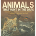 Animals That Hunt In The Dark - Nocturnal Animal Book 1st Grade Children's Animal Books