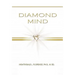 Diamond Mind: The Intelligent, Synergistic Approach to Science and Spirituality