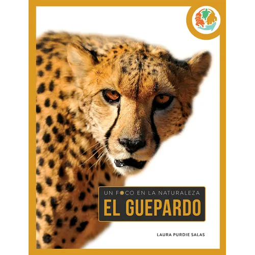 Guepardo