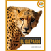 Guepardo