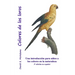 Colores de los loros