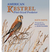 American Kestrel: Pint-Sized Predator