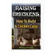 Raising Chickens: How To Build A Chicken Coop