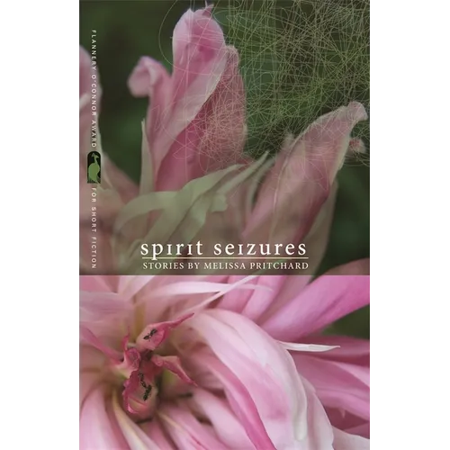 Spirit Seizures: Stories