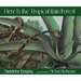 Here Is the Tropical Rain Forest