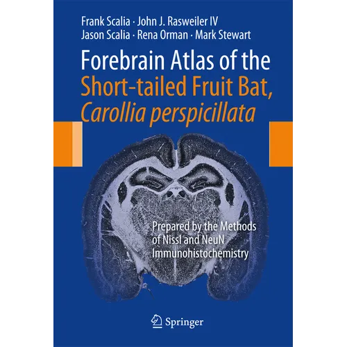Forebrain Atlas of the Short-Tailed Fruit Bat, Carollia Perspicillata: Prepared by the Methods of Nissl and Neun Immunohistochemistry