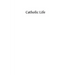 Catholic Life: or The Feasts, Fasts and Devotions of the Ecclesiastical Year