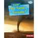 Could We Tame a Tornado?