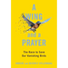 A Wing and a Prayer: The Race to Save Our Vanishing Birds