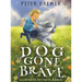 Dog Gone Brave