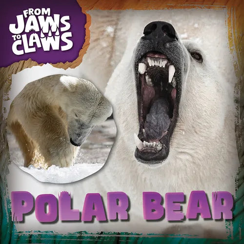 Polar Bear - Paperback