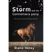 The Storm and the Connemara Pony - Dyslexia Friendly