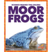 Moor Frogs