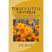 Polly's Little Universe: A worldview primer for smart pre-teens and imaginative adults