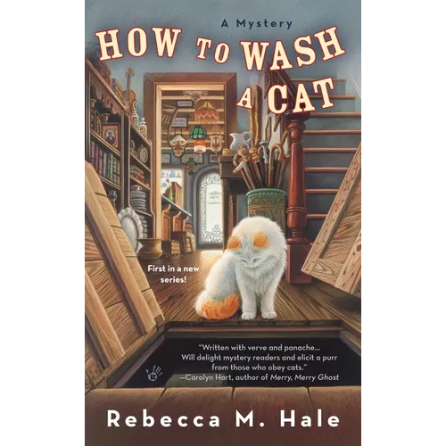 How to Wash a Cat