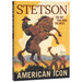 Stetson: American Icon