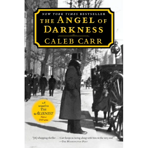 The Angel of Darkness: Book 2 of the Alienist: A Novel