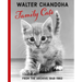 Walter Chandoha: Family Cats: From the Archive 1949-1962