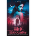 Illicit Encounter