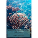 A Celestial Cartographer's Compendium of Cosmic Curiosities: An Intimate Exploration of Coral Biology, Marine Ecosystem Dynamics, and Environmental Re