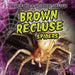 Brown Recluse Spiders