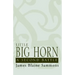 Little Big Horn: A Second Battle