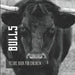 Bulls: Picture book for children