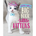 Kitten Lady's Big Book of Little Kittens